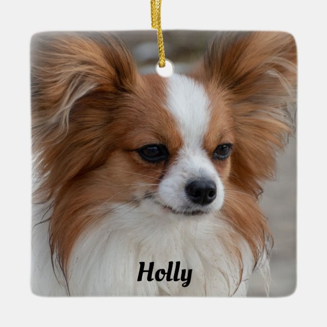 Personalized Friendly Papillon Puppy Dog Ceramic Ornament (Front)