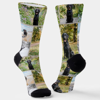 Personalized Fun 5 Photo Template Socks