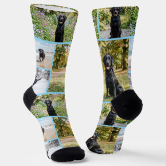 Personalized Fun 5 Photo Template Socks