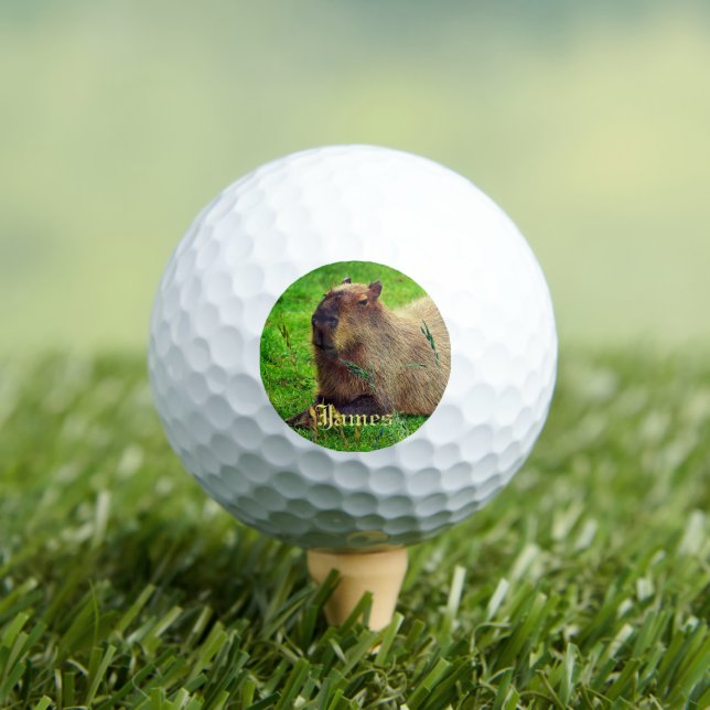 Personalized Fun Capybara Animal Golf Balls (Insitu Tee)