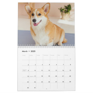 Personalized Funny Corgi Dog Pet Photo Calendar