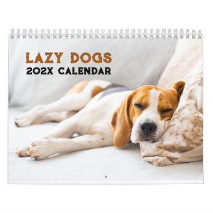 Personalized Funny Lazy Dogs 2025 Calendar