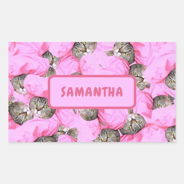 Personalized Funny Pink Cat Sticker (Front)