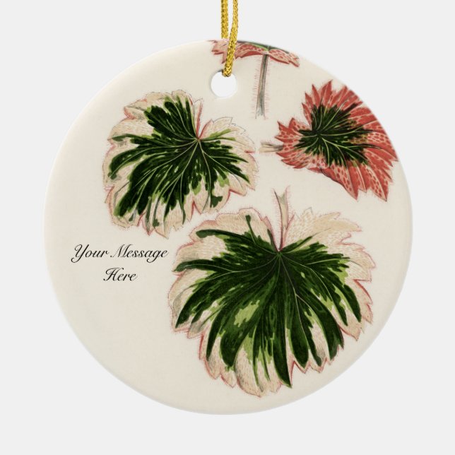 Personalized Gardener Special Gift Plant  Ceramic Ornament (Front)