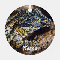 Personalized Gargoyle Gecko Pet Lizard