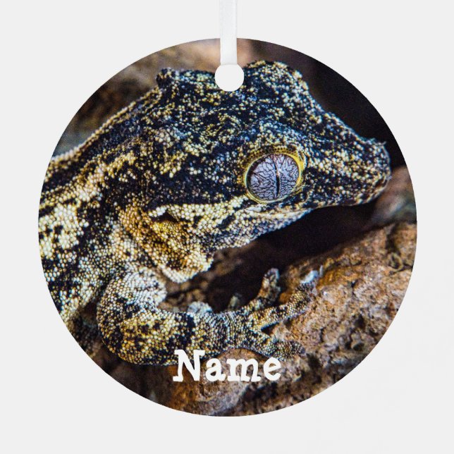 Personalized Gargoyle Gecko Pet Lizard Metal Ornament (Back)