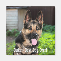 Personalized German Shepherd Dog Photo, Dog Name