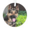 Personalized German Shepherd Dog Photo, Dog Name