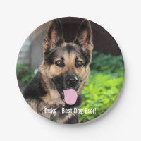 Personalized German Shepherd Dog Photo, Dog Name