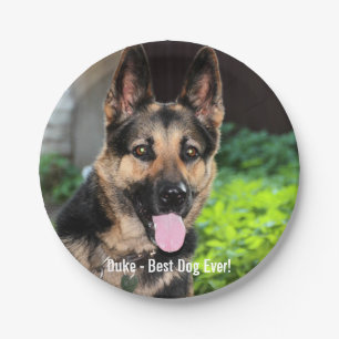 Personalized German Shepherd Dog Photo, Dog Name Paper Plate