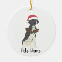 Personalized German Shorthaired Pointer (Black)