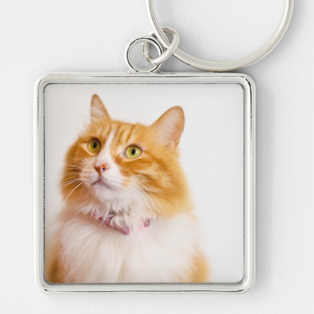 Personalized Ginger Cat Photo Custom Name  Keychain (Front)