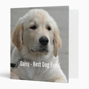 Personalized Golden Retriever Dog Photo and Name Binder