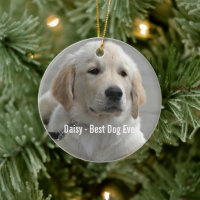 Personalized Golden Retriever Dog Photo and Name