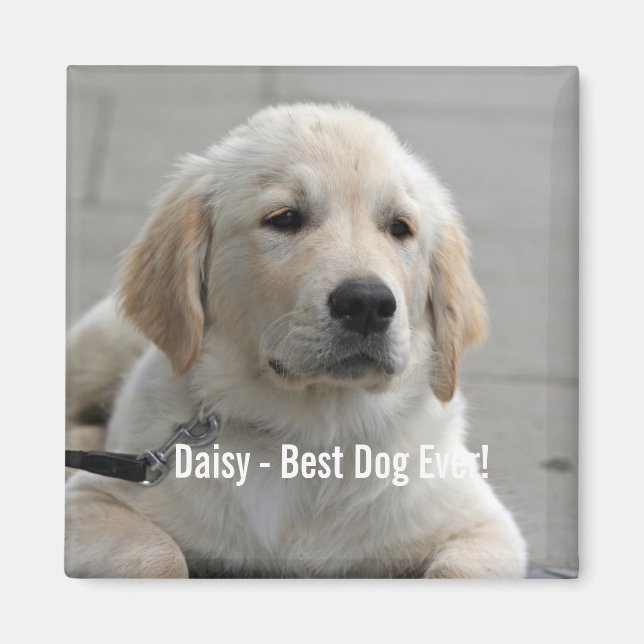 Personalized Golden Retriever Dog Photo and Name Magnet (Front)