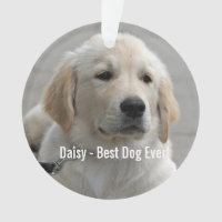 Personalized Golden Retriever Dog Photo and Name