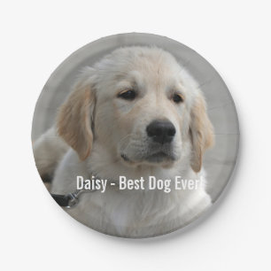 Personalized Golden Retriever Dog Photo and Name Paper Plate