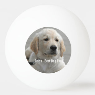 Personalized Golden Retriever Dog Photo and Name Ping Pong Ball