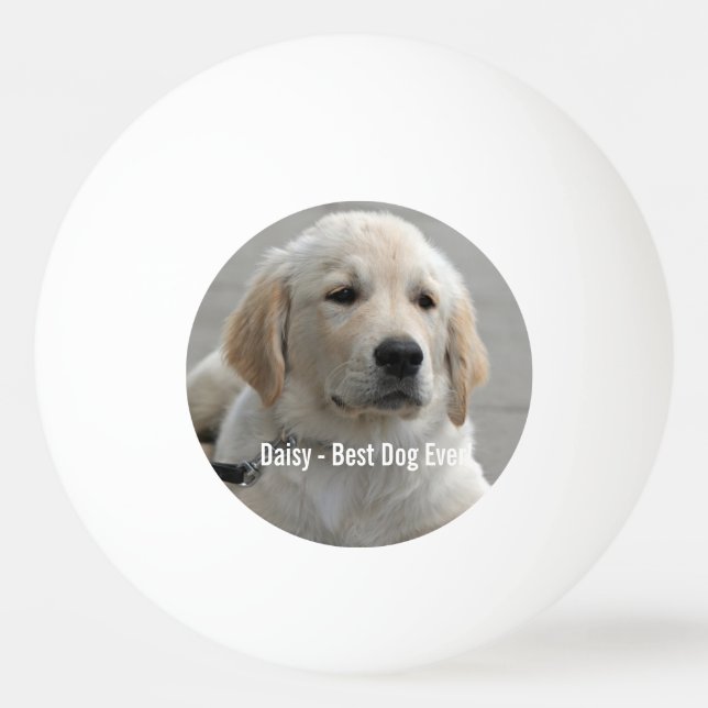 Personalized Golden Retriever Dog Photo and Name Ping Pong Ball (Front)