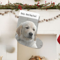 Personalized Golden Retriever Dog Photo and Name