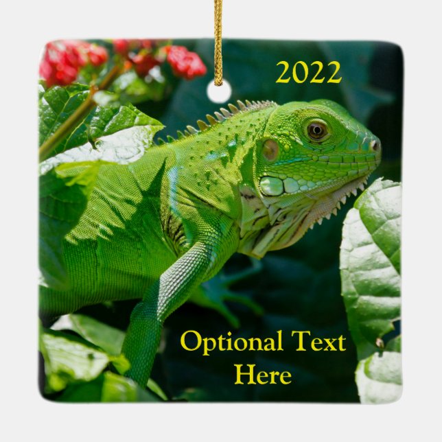 Personalized Green Iguana Lizard Ceramic Ornament (Back)