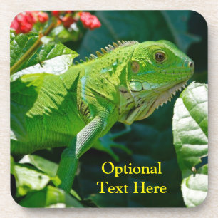 Personalized Green Iguana Lizard Coaster