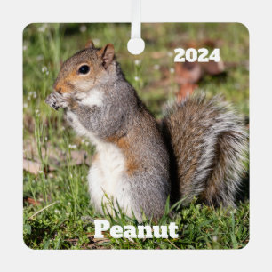 Personalized Grey Squirrel Metal Ornament