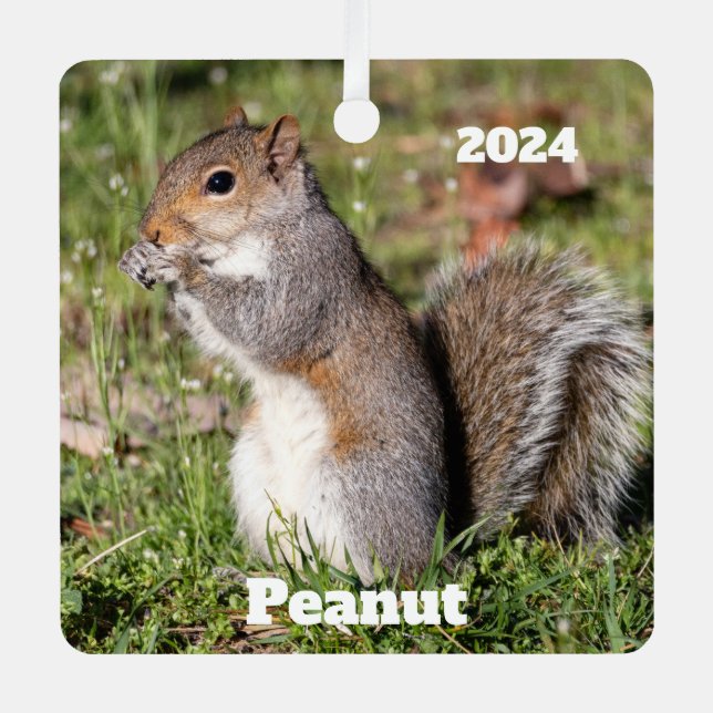 Personalized Grey Squirrel  Metal Ornament (Front)
