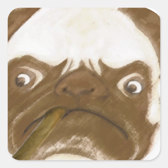 Personalized Grumpy AFICIONADO Puggy Cigar Square Sticker (Front)