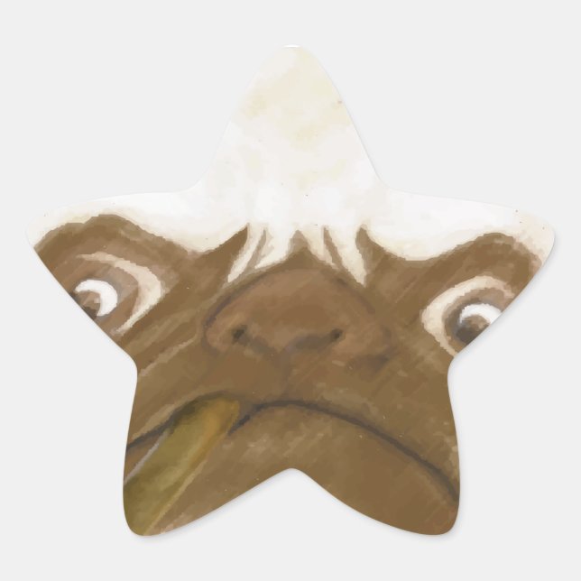Personalized Grumpy AFICIONADO Puggy Cigar Star Sticker (Front)