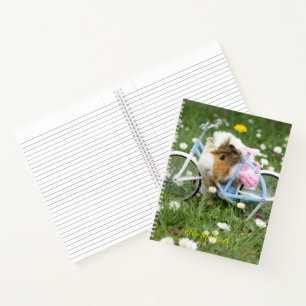 Personalized / Guinea Pig And A Bike/ Funny Photo Notebook