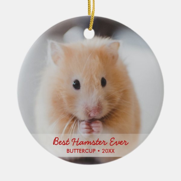 Hamster Gifts on Zazzle CA