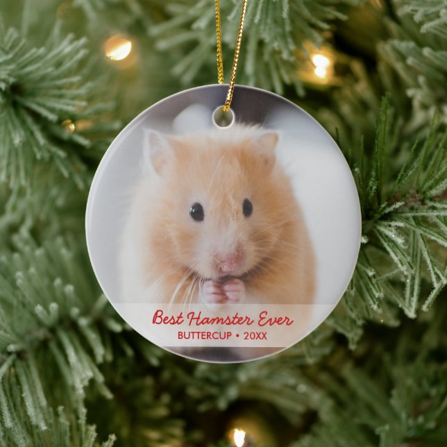 Personalized Hamster Pet Photo & Name Christmas Ceramic Ornament (Tree)