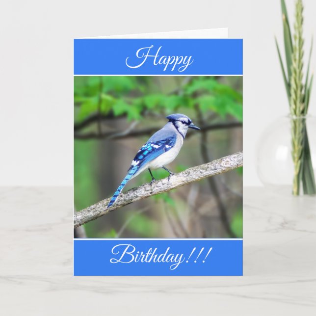 Personalized Happy Birthday Blue Jay Card (Front)