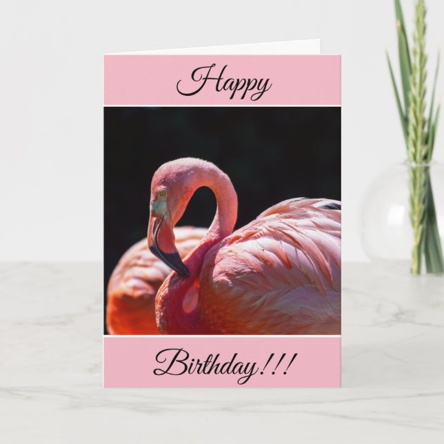 Personalized Happy Birthday Flamingo Card (Front)
