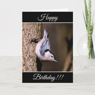 Personalized Happy Birthday Nuthatch Card