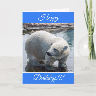 Personalized Happy Birthday Polar Bear Card