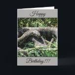 Personalized Happy Birthday Snake Card<br><div class="desc">Personalized Happy Birthday Snake Card</div>