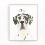 Personalized Harlequin Great Dane Art Photo Print<br><div class="desc">I am in love with this beautifully detailed watercolor illustration of a black and white harlequin great dane! Personalize these art prints with your name or monogram to compliment your decor and change fonts by selecting the "edit using design tool" option at personalization. Shop the rest of my collection for...</div>
