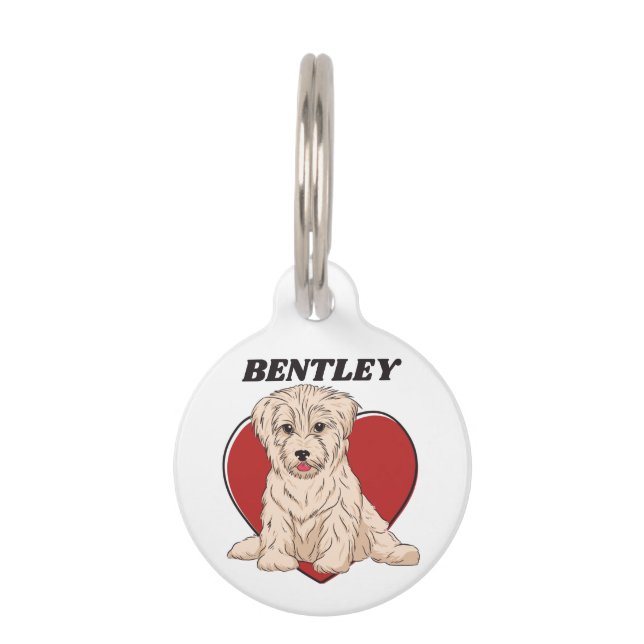 Personalized Havanese Puppy Dog Lover Custom Text Pet Tag (Front)