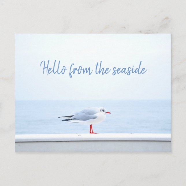 Personalized// Hello // Seagull Postcard (Front)