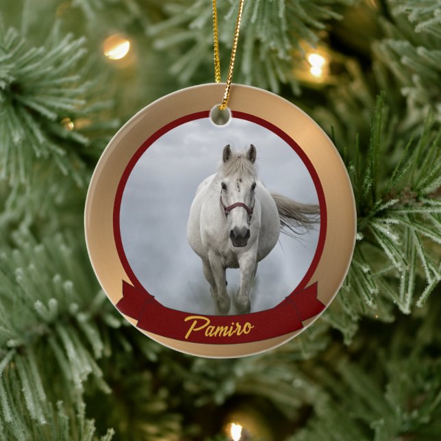 Personalized Horse Pet Ornament Photo Name Year (Tree)