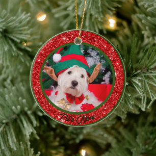 Personalized Horse Pet Ornament Photo Name Year