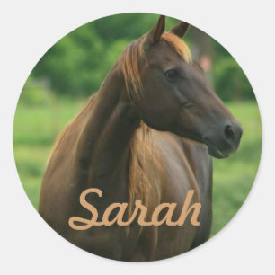 Personalized Horse Stickers