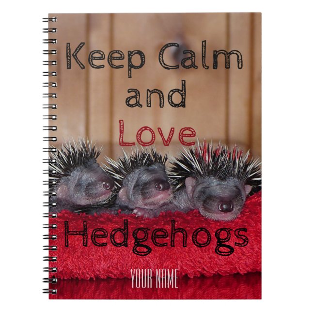 Personalized || Keep calm and love hedgehogs Notebook (Front)