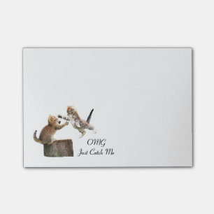 Personalized Kitten Post-It-Notes Post-it Notes