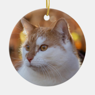 Personalized Kitty Cat Photo Ceramic Ornament
