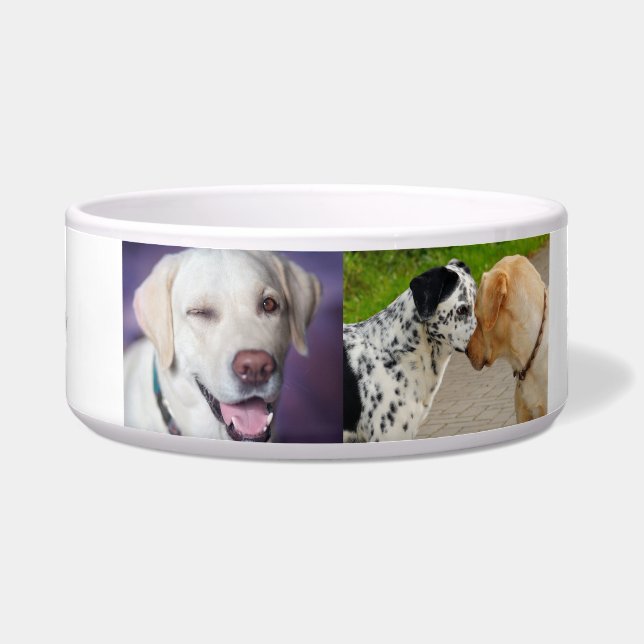 "Personalized Labrador & Dalmatian Dog Bowl  (Front)