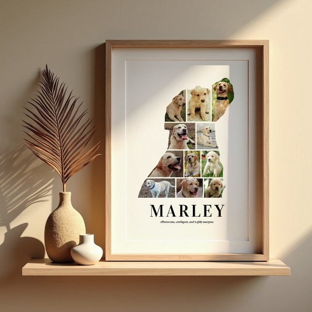 Personalized Labrador Photo Collage Poster (Creator Uploaded)