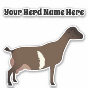 Personalized LaMancha Dairy Goat
